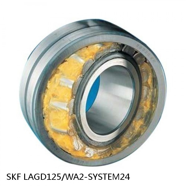 LAGD125/WA2-SYSTEM24 SKF Bearings,Grease and Lubrication,Grease, Lubrications and Oils