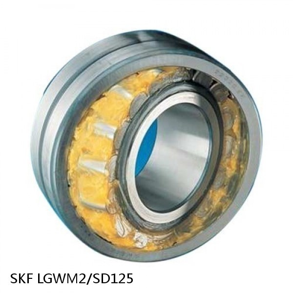 LGWM2/SD125 SKF Bearings,Grease and Lubrication,Grease, Lubrications and Oils