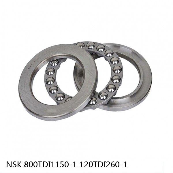 800TDI1150-1 120TDI260-1 NSK Double outer double row bearings #1 small image