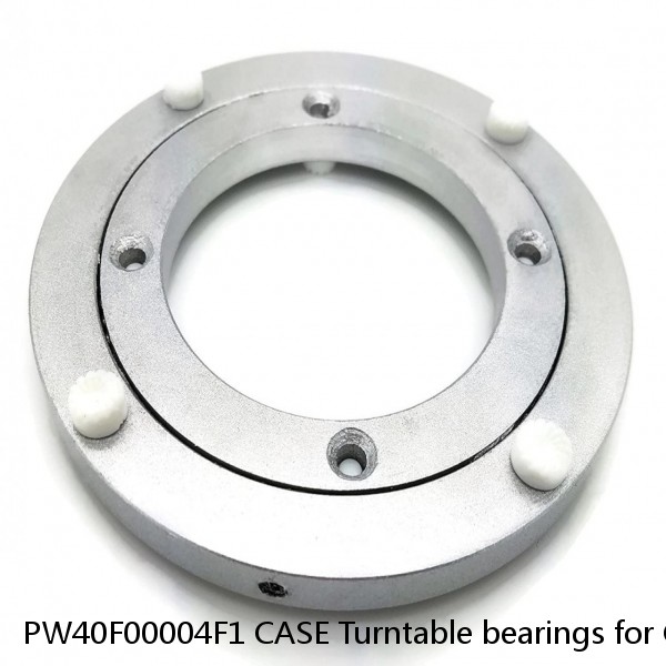 PW40F00004F1 CASE Turntable bearings for CX31B #1 small image
