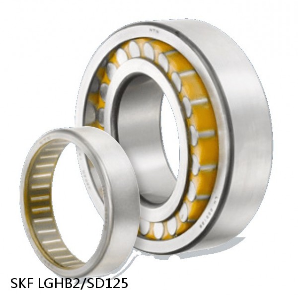 LGHB2/SD125 SKF Bearings,Grease and Lubrication,Grease, Lubrications and Oils #1 image
